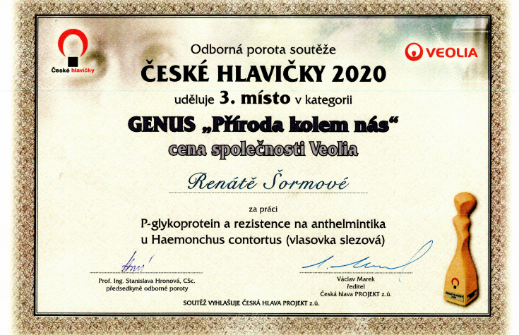 Bronz v Českých hlavičkách