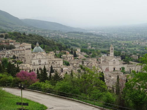 14-Assisi