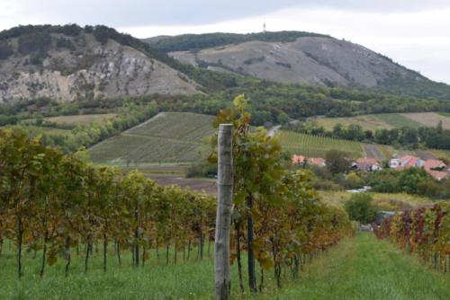 Podzimní exkurze Klubu NATURA 3